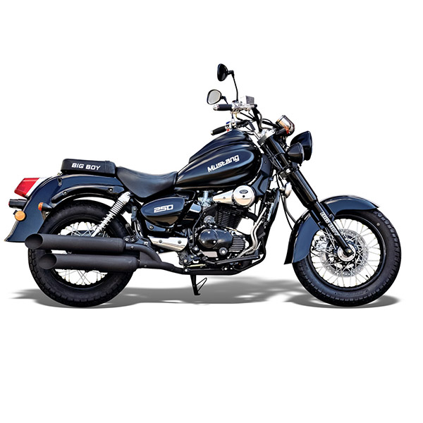 Big Boy Mustang 250