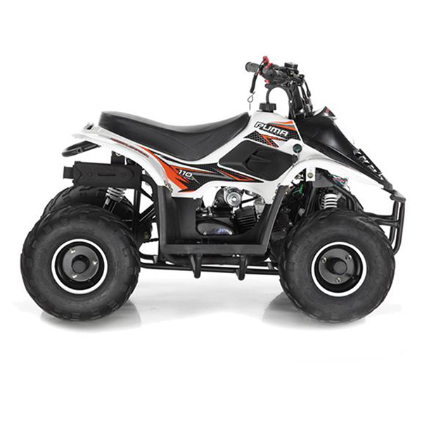 Big Boy Puma 110